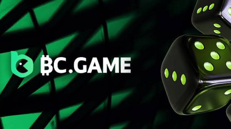 Exploring BC.Game Deposit Options A Comprehensive Guide 856241395