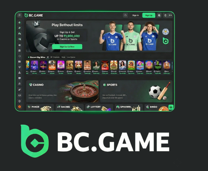 Exploring BC.Game Casino A New Era of Online Gaming
